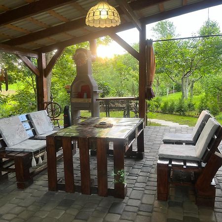 Hotel Окремий Будинок-Апартаменти Rakoshyno Exterior photo