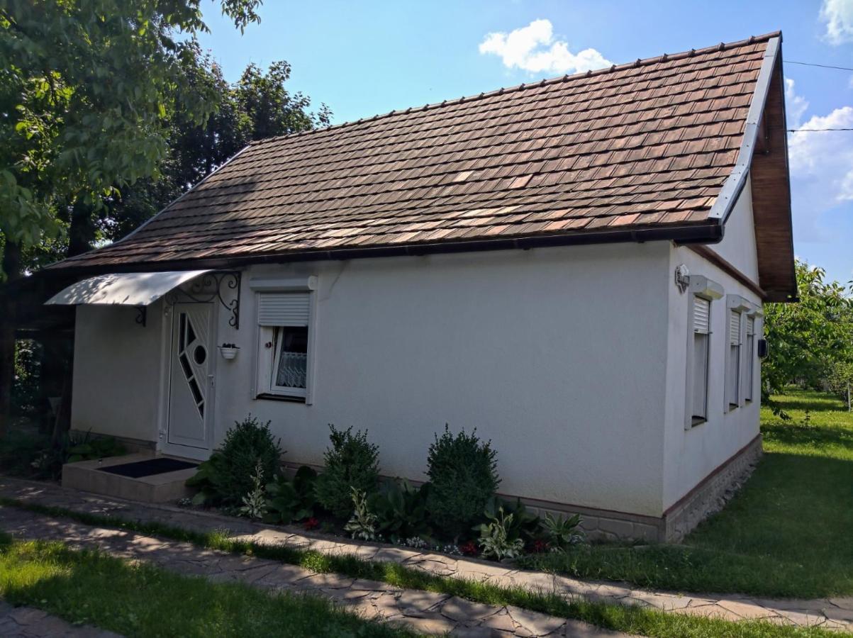 Hotel Окремий Будинок-Апартаменти Rakoshyno Exterior photo